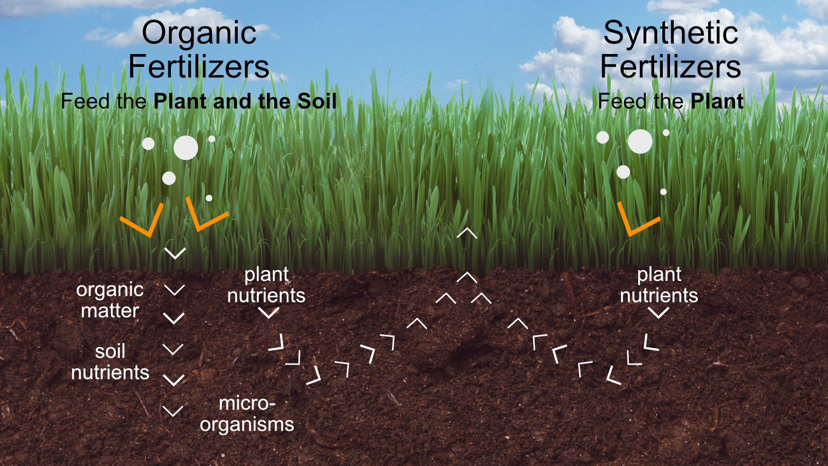 Soil Nourishment with Organics