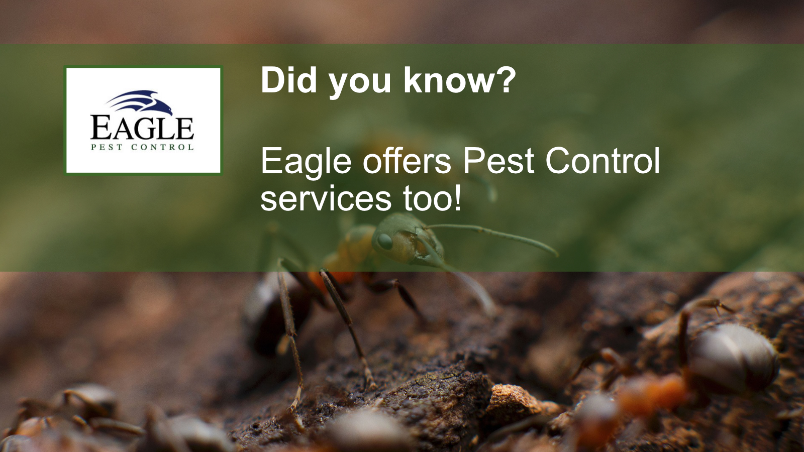 Eagle Pest Control